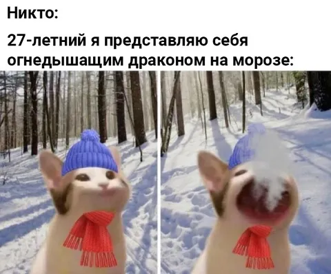 Кот огнедышащий дракон на морозе