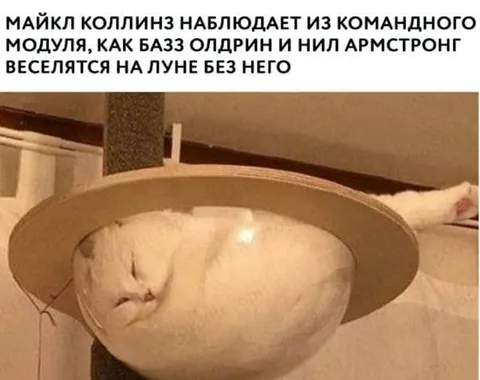 Майкл Коллинз наблюдает из модуля