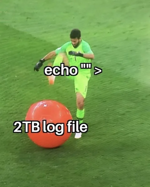 Echo Redirects a 2TB Log File