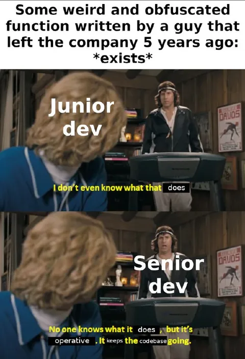 Junior Dev vs Senior Dev