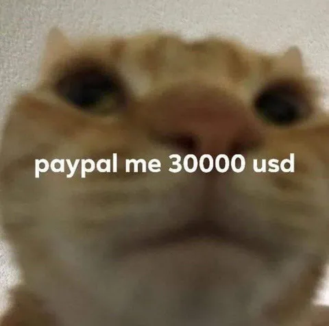 PayPal Me 30000 USD