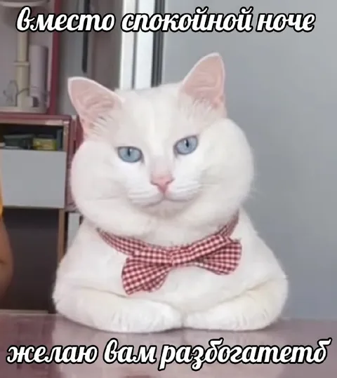 Кот желает разбогатеть