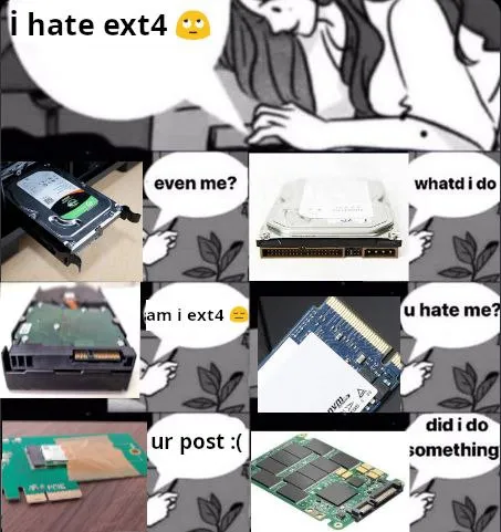I Hate ext4 Hardware Meme