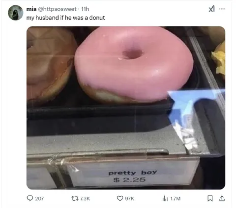 My Husband If He Was a Donut