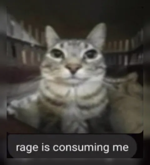 Rage Is Consuming Me Cat