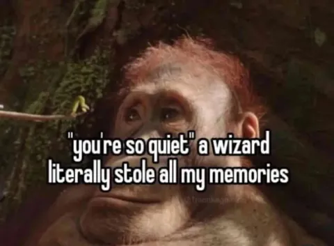 Wizard Stole My Memories
