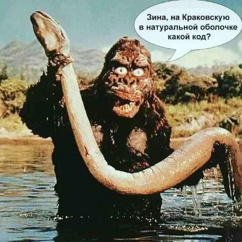 Код от Краковской в натуральной оболочке