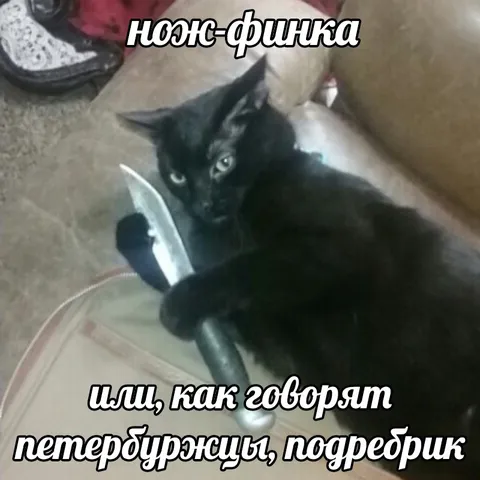 Кот с ножом-финкой