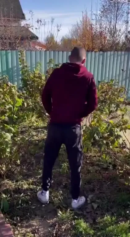 Мужчина, муха и фейерверк