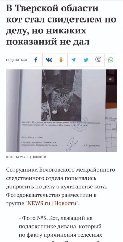 Кот не дал показаний