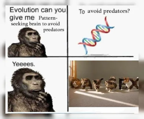Evolution Gives Cats Predator Avoidance
