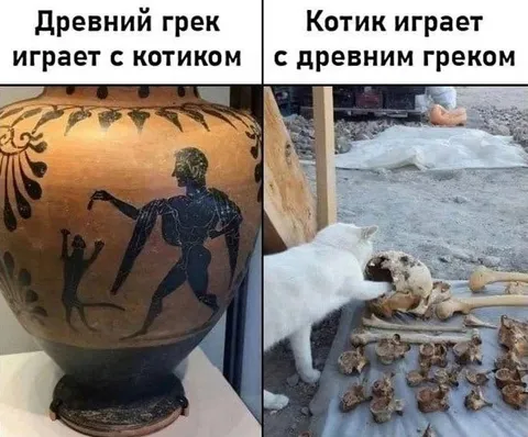Древний грек играет с котиком