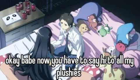 Say Hi to My Plushies