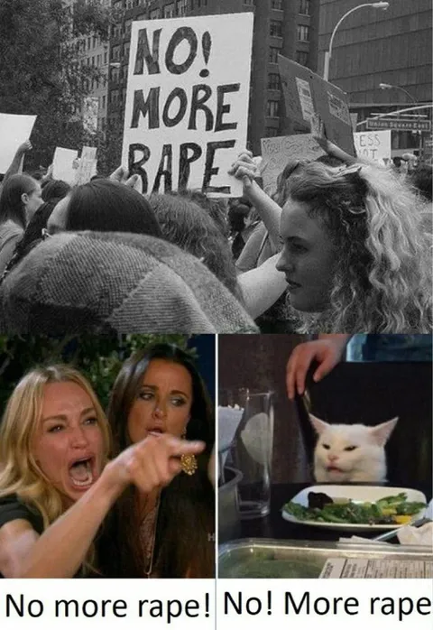 No More Rape Protest Meme