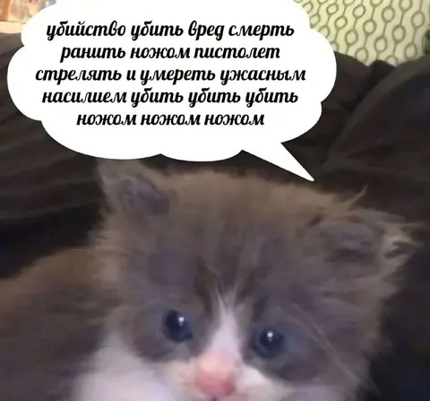 Котёнок с ужасными мыслями