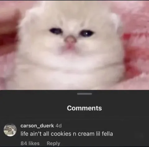 Life Ain't All Cookies n Cream