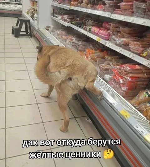Откуда берутся жёлтые ценники