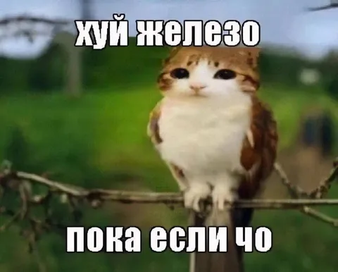 Хуй железо пока есть чо