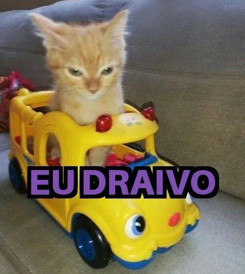 Eu dravo no carrinho