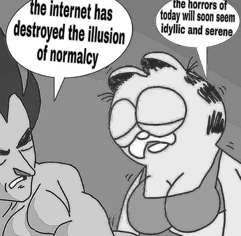 The Internet Destroyed Normalcy