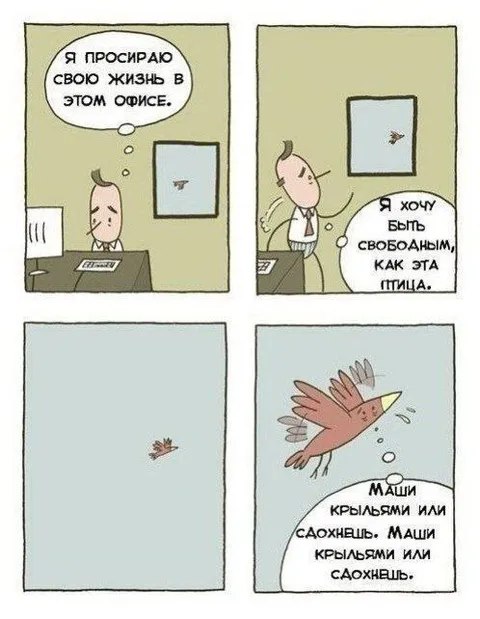 Свободный как птица