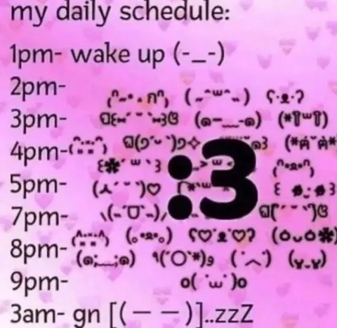 My Daily Schedule