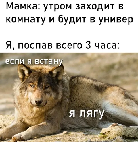 Если я встану, я лягу