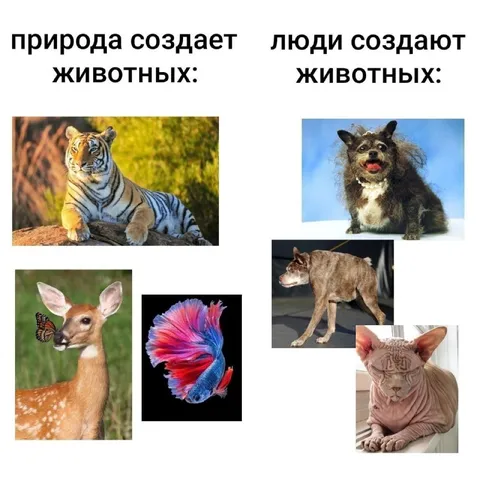 Природа и люди создают животных