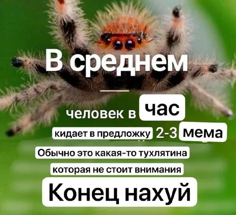 Человек в час кидает мемы