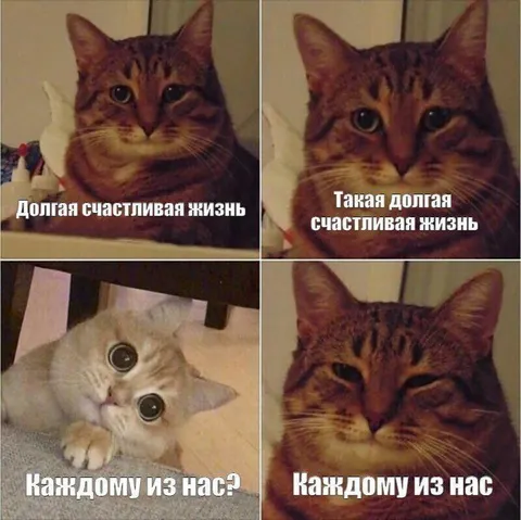 Долгая счастливая жизнь