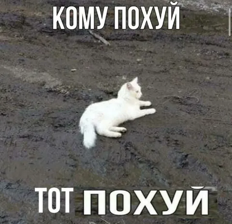 Кому похуй, тот похуй