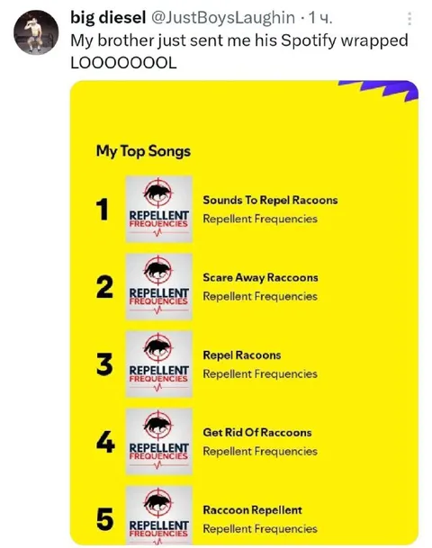 Spotify Wrapped Raccoon Playlist