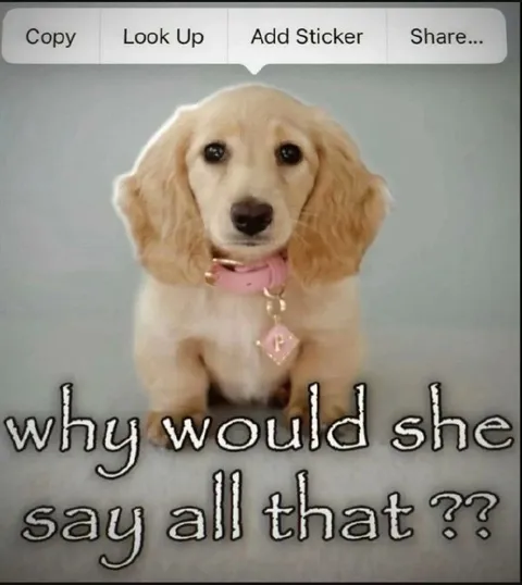 Why Would She Say All That