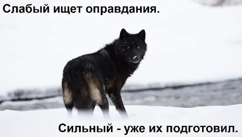 Слабый ищет оправдания