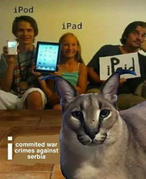 iPod iPad War Crimes Cat