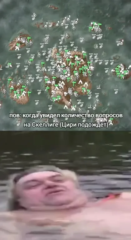 Когда увидел все вопросы на Скеллиге