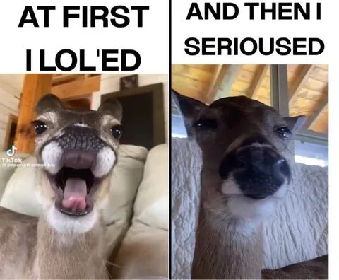 At First I Laughed Then Serious