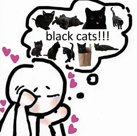 Black Cats Obsession