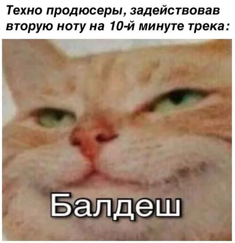 Кот-балдёж на техно-треке