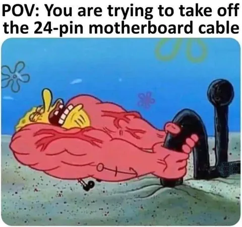 Removing the 24-Pin Cable