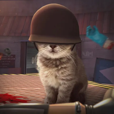 Cat Wearing a Heavy Helmet