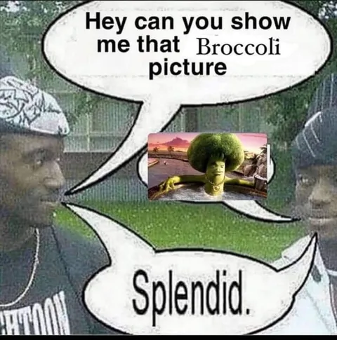 Show Me That Broccoli Picture