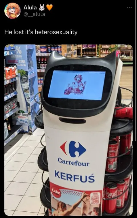 Robot Lost Its Heterosexuality