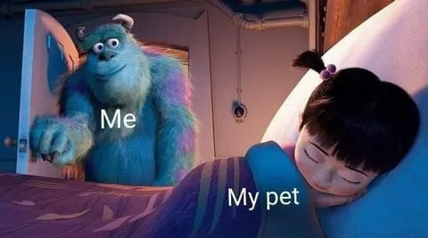 Me and My Pet
