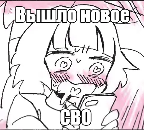 Вышло новое СВО