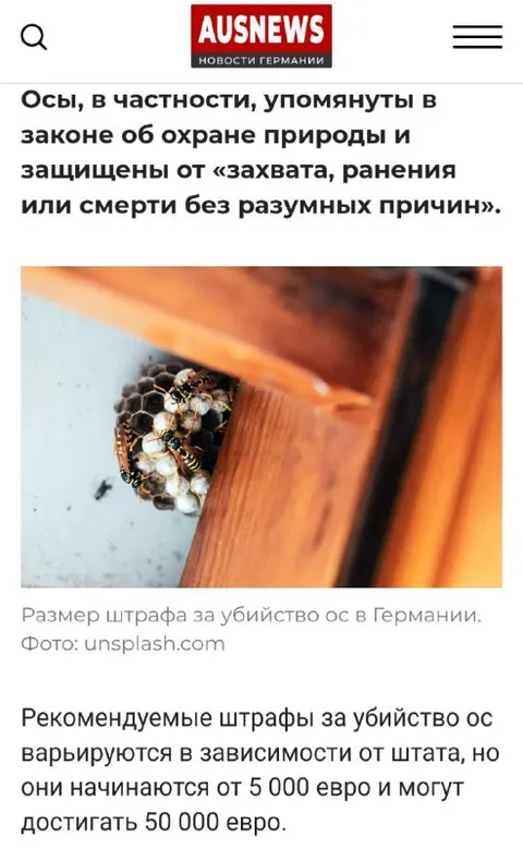 Штраф за убийство ос в Германии