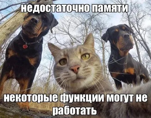 Недостаточно памяти у кота