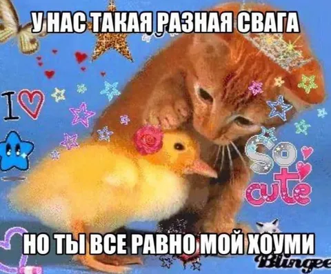 Разная свага, но мой хоуми