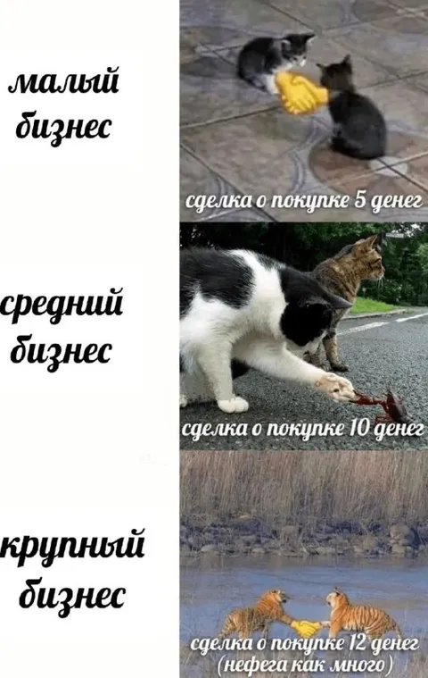 Малый и крупный бизнес