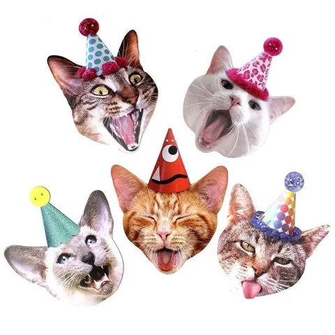Коты на вечеринке